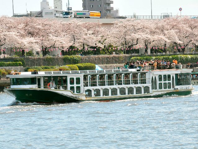  2019赏花>春之隅田川的赏花游船&滨离宫恩赐庭园樱花散步&筑地寿司13