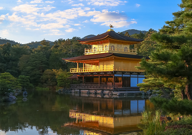 外国人観光客と一緒に楽しむ 中国語ガイドで行く 清水寺 京都町家豆腐料理 金閣寺 伏見稲荷大社 日帰りバスツアー 名古屋 京都発 トラベルコ