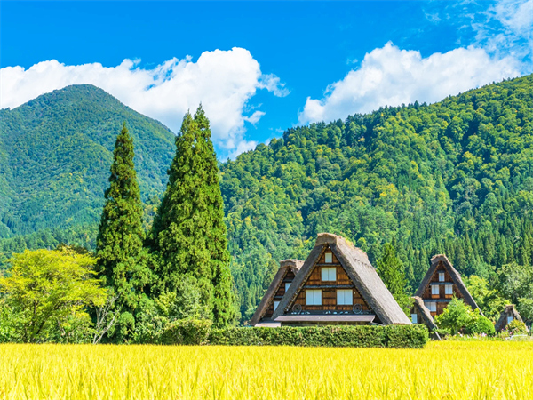 【名古屋発☆お一人様OK!】白川郷と飞驒高山へ！日本の原風景とゆったりとした時間の流れを感じる日帰りツアー♬【8:30 名古屋駅前 出発】白川郷と飛騨高山へ！日本の原風景とゆったりとした時間の流れを感じる日帰りツアー