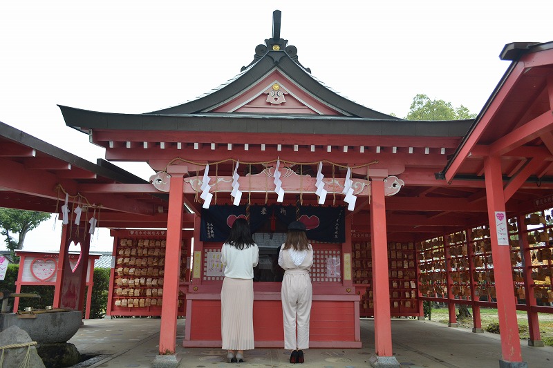 福岡県のハイヤー リムジン 観光タクシーの予約 日本旅行 オプショナルツアー アクティビティ 遊びの体験予約