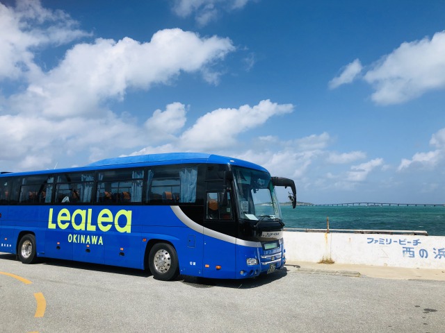 沖縄のバスツアーの予約 日本旅行 オプショナルツアー アクティビティ 遊びの体験予約