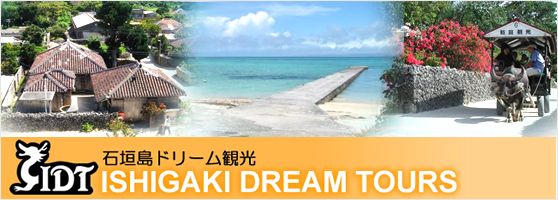 石垣島ドリーム観光 離島ツアー 石垣島ドリーム観光 離島ツアー