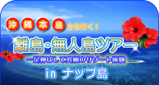 ナップ島 沖縄で日帰り海水浴 旅プラスワン