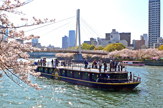 大阪 お花見クルーズ特集 旅プラスワン