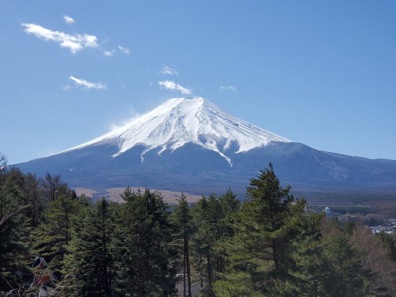 【東京発】富士山1日満喫！富士山五合目or大石公園＋河口湖抹茶体験＋忍野八海＋御殿場アウトレットへ　日帰りバスツアー