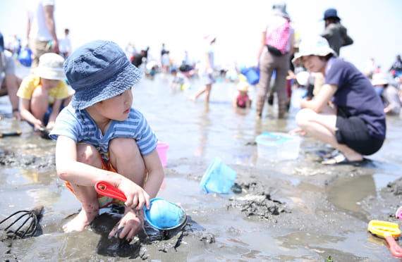 【新宿発】木更津・ざくざく＆とことん潮干狩り体験と初夏のマザー牧場たっぷり120分　お昼はうれしいおむすび付★房総満喫 日帰りバスツアー