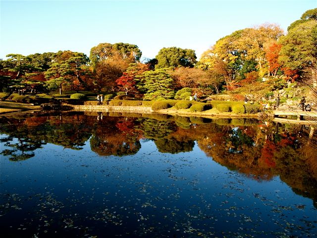 東京紅葉名所5景＆都内イルミネーションめぐりバスツアー　～和食御膳のご昼食付～