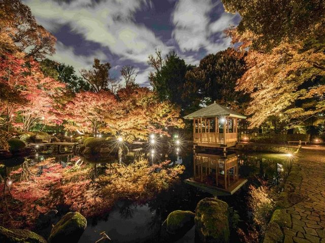 大田黒公園紅葉ライトアップ＆重要文化財・茶室「光華」秋の特別公開と美しい紅葉めぐりバスツアー　～リニューアルした明治記念館「羽衣」にてお刺身御膳のご昼食～【027027‐915】