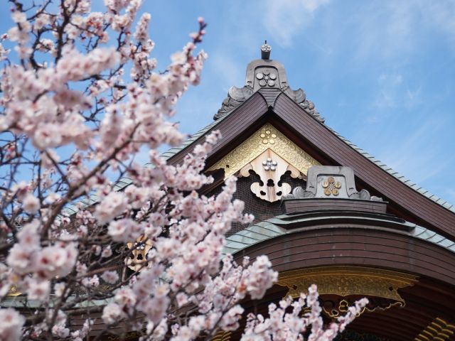 天皇誕生日一般参賀＆江戸時代からの梅の名所・湯島天神梅まつりと東京ソラマチ(R)いちごフェアお買い物バスツアー【027027‐1032】