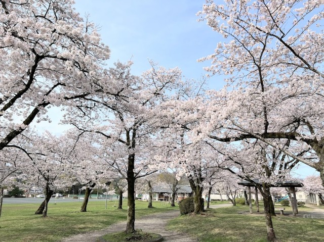 特急「Laview」で行く！北欧感じるメッツァビレッジと天覧山の桜バスツアー【027027-1091】