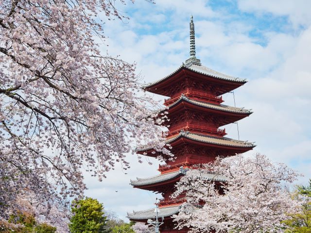 年に１度！池上本門寺「五重塔 特別開帳」と春まつり 桜が美しい厳選寺社めぐりバスツアー