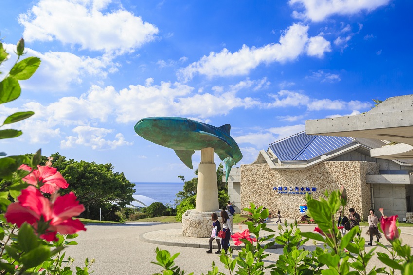 【沖縄ラボPass】沖縄本島で使える観光パス♪お得に旅しよう！
