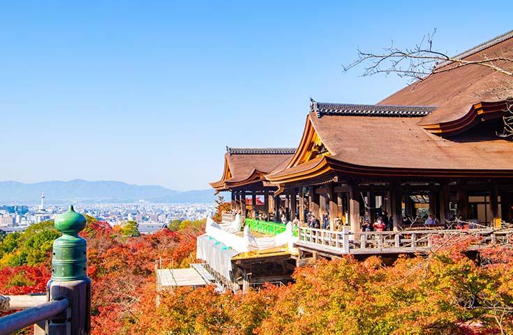 【大阪/京都発】世界遺産古都京都の文化財巡り　日帰りバスツアー【京都豚肉豆腐料理ランチ/英語ガイド付】