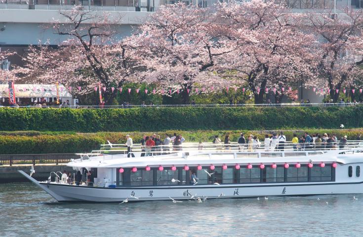 【東京お花見】屋形船の屋上は360度の見渡せる スカイデッキ！桜舞う隅田川で優雅なお花見クルーズ。飲み放題付き和食コースが味わえる贅沢プラン