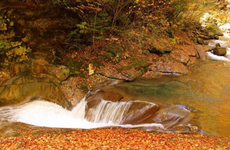 一生に一度は行きたい紅葉の西沢渓谷ハイキング！神秘の渓谷散策＆絶景滝めぐり【同行スタッフ付】