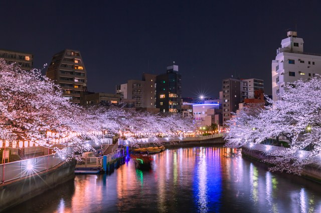 【秋葉原17:45集合】「深川さくら祭り‐夜桜ライトアップ観覧クルーズ」