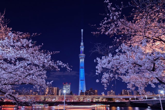 【秋葉原17:45集合】「隅田川千本桜‐夜桜ライトアップ観覧クルーズ」