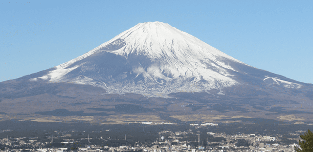 ＜新宿発・西船橋駅発＞ 初富士を望む夢紀行 三嶋大社初詣＆海鮮福袋ツアー　海の幸グルメ天国・沼津港で選べるランチに干物セットお土産付き　そして、光のトンネル！時之栖イルミネーション