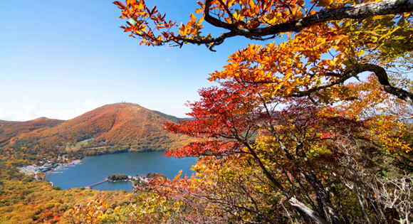 ＜新宿発・西船橋駅発＞ 日本百名山・赤城山 湖上に広がる絶景の紅葉 と 小尾瀬と呼ばれる高層湿原 覚満淵の木道トレッキング ～群馬名物！「特製・まいたけ弁当」の昼食付き～