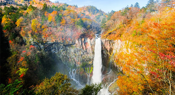 ＜新宿発・西船橋駅発＞ 錦秋の世界遺産・日光の紅葉絵巻！　日光社寺・華厳の滝・いろは坂　～名物「栗おこわ＆湯葉御膳」の昼食付き～