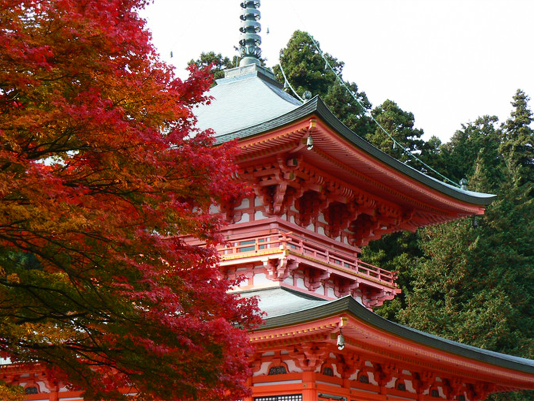 【大阪/京都発】紅葉シーズン限定🍁比叡山延暦寺・八幡堀・教林坊日帰りツアー、多言語ガイド