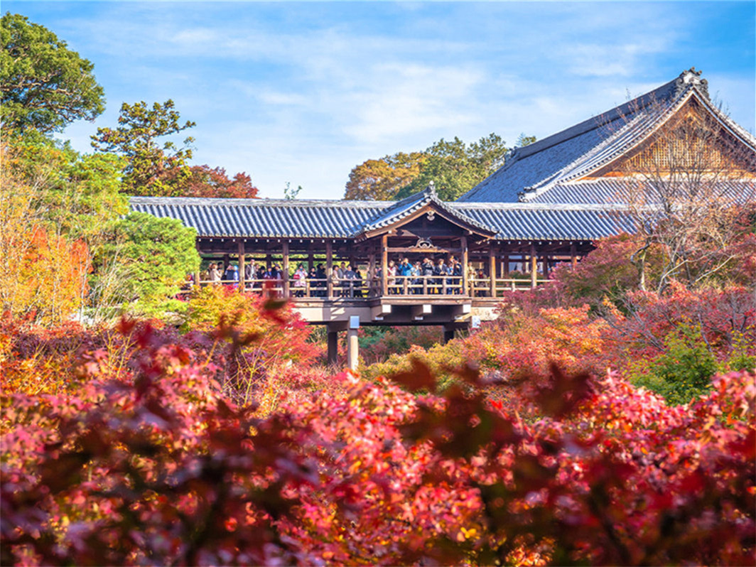 【大阪/京都発】紅葉シーズン限定🍁東福寺・伏見稲荷大社・貴船神社日帰りツアー、多言語ガイド