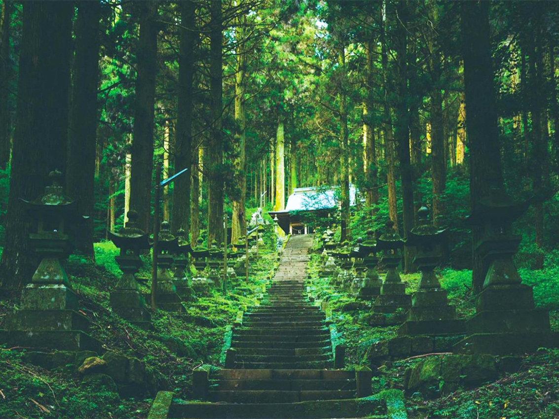 【福岡発】上色見熊野座神社・天岩戶神社&天安河原・高千穂峡日帰りツアー、多言語ガイド