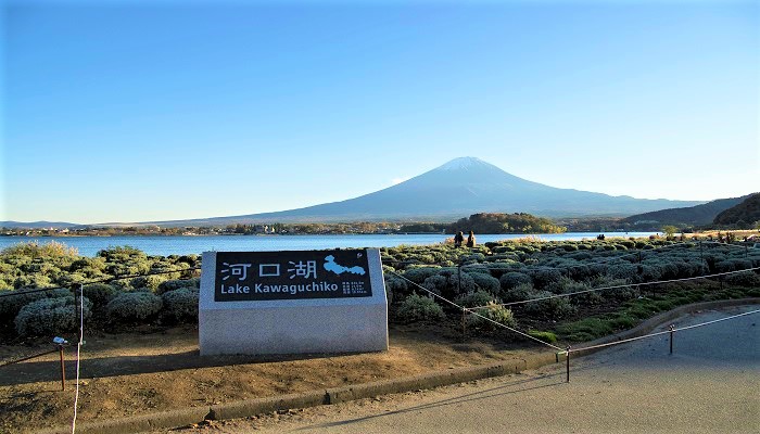 富士急山梨ハイヤー株式会社