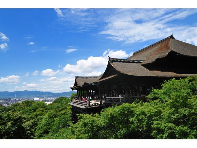 京都の名所を贅沢に巡る！たっぷり8時間プラン