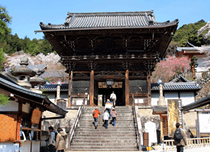 【桜井市内・天理市内・大和八木駅周辺発】長谷寺・室生寺コース (3.5時間）