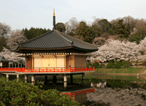 【桜井市内・天理市内・大和八木駅周辺発】安倍文殊院・聖林寺・談山神社コース (4時間）