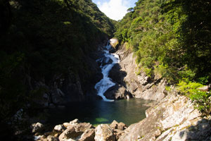 ガイドにおまかせ！秘境ツアー(半日/１日)【屋久島ガイド島あそび】