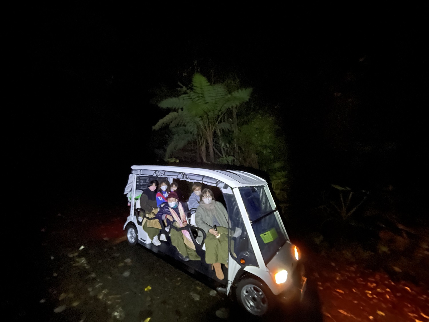 【鹿児島・奄美大島】特別天然記念物「アマミノクロウサギ」観察ナイトツアー