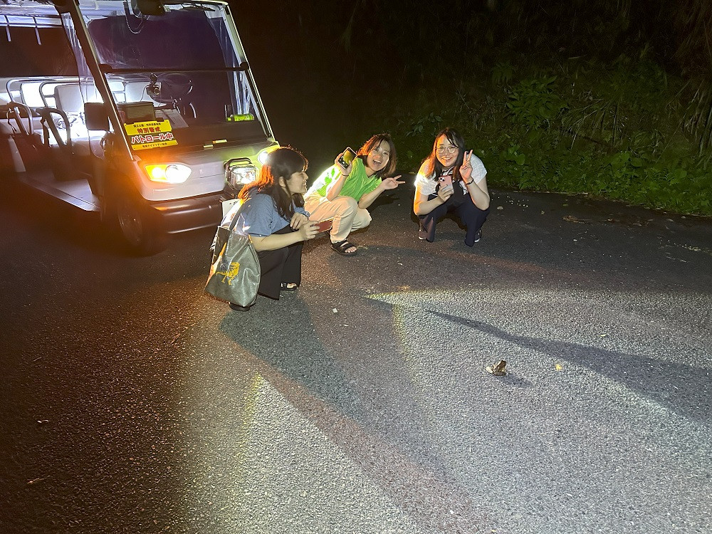 【鹿児島・奄美大島】 電気自動車で巡る奄美大島ナイトツアー、アマミノクロウサギと未体験の冒険（1名様からOKです！)