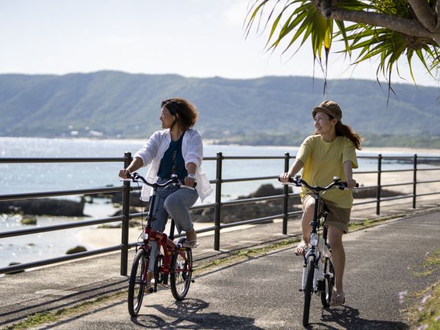 【奄美】レンタサイクル 6時間【車載可能な折りたたみ自転車】【女性もラクラク】