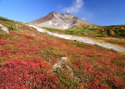 〈大雪山を染める紅葉絵巻〉絶景宝庫！旭岳ロープウェイと姿見の池散策・深山峠観覧車から眺める秋の絶景スポット