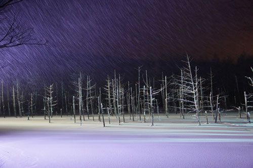 旭川まるうんトラベル 札幌営業所 旅プラスワン