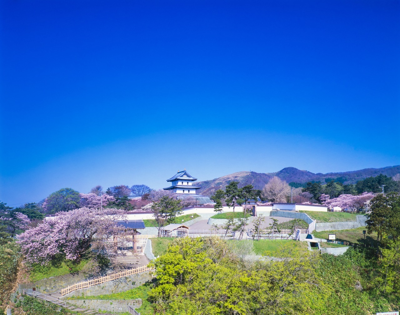 函館8:00発　松前城・五稜郭公園・立待岬 日帰りバスツアー 松前城＋かもめ島＋五稜郭公園+立待岬