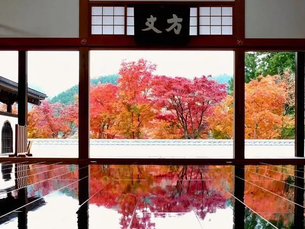 【新宿発】群馬を染める紅葉三名所！宝徳寺「床もみじ」＆「関東の耶馬渓」高津戸峡＆上州の名湯「伊香保温泉」散策【CT-9988-01】