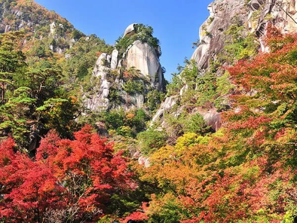 【新宿発】山梨を染める紅葉三名所！日本一の渓谷「御岳昇仙峡」＆関東の富士見百景「新倉山浅間公園」＆河口湖紅葉まつり【CT-9995-01】