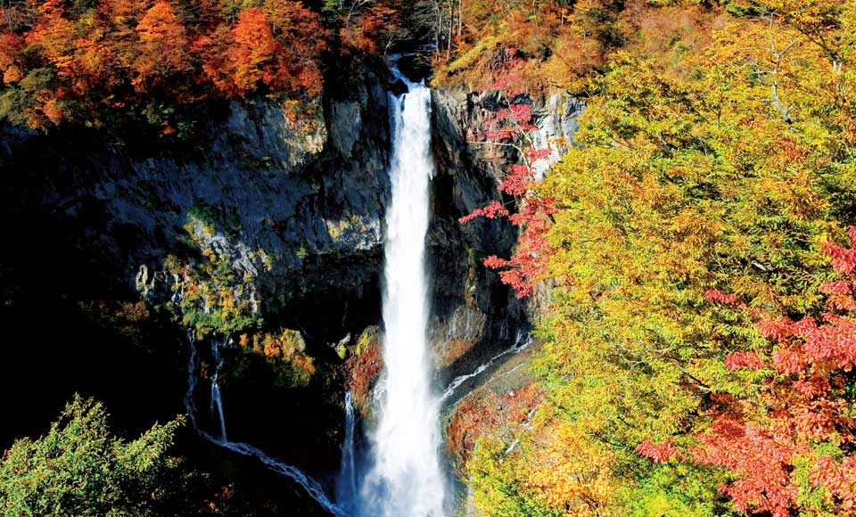 日光の名所を満喫する 日帰りバスツアー特集 旅プラスワン