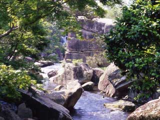 東海地方 予約 京都発 長島温泉 ナガシマ入園 湯あみの島入浴券付 日帰りバスプラン