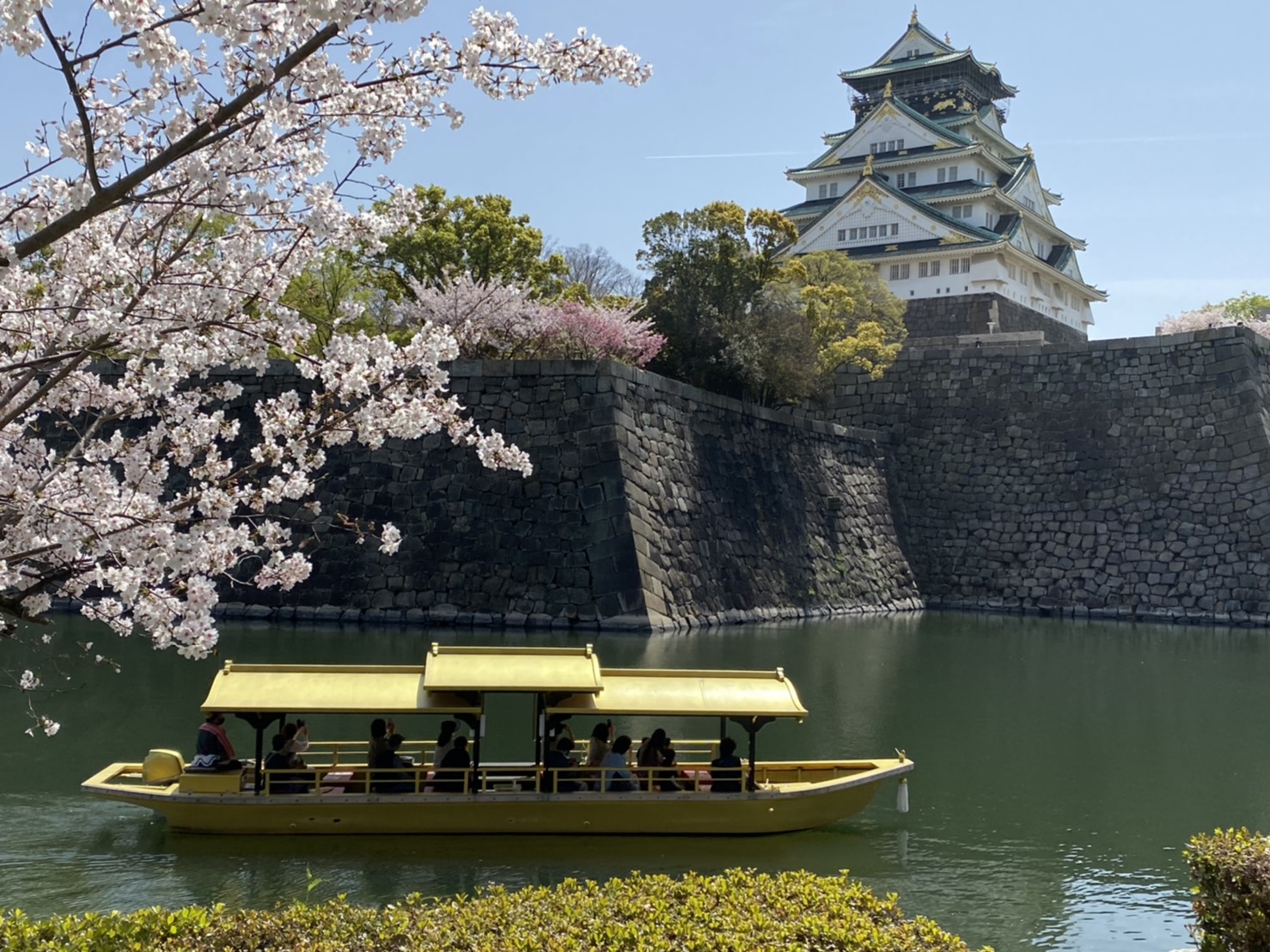 【大阪・桜】春の大阪城　御座船　お堀めぐり＜乗船プラン＞