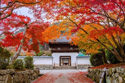 バスガイド「私たちがつくりました!!」現代アートと祈りの寺