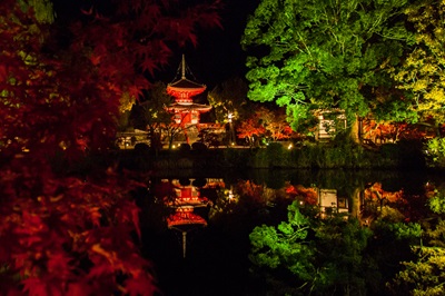 夜間特別拝観 宝厳院 獅子吼の庭 旧嵯峨御所大覚寺 大沢池ﾗｲﾄｱｯﾌﾟ