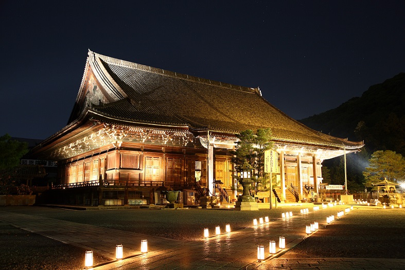 ＜NY＞ライトアップ 京の紅葉　知恩院と東寺の夜紅葉