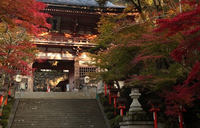 秋季 特別公開寺院めぐり 嵐山と洛北 鞍馬寺、大原 寂光院