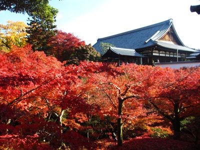 ＜T＞～京都もみじ紀行～天龍寺・嵐山・東福寺の紅葉／京阪バス