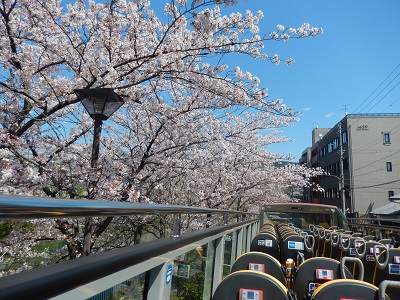 ＜W4＞スカイバス京都　春先取り都路ドライブ