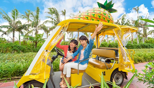 ★10月～★【1DAY　BUS TOUR/那覇市内出発】沖縄美ら海水族館と古宇利島・万座毛・ナゴパイナップルパークコース＜Aコース＞